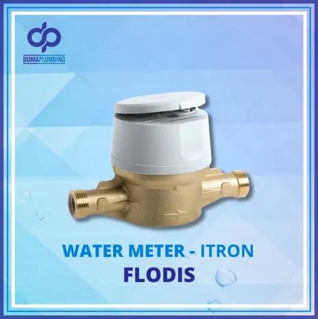 Water Meter Water Meter Itron Flodis  1 ~blog/2024/10/1/1