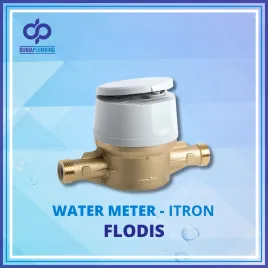 Water Meter Itron Flodis 