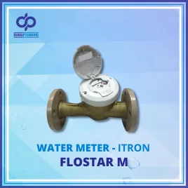 Water Meter Itron Flostar M