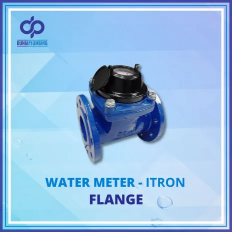 Water Meter Water Meter Itron Flange 1 ~blog/2024/10/1/3