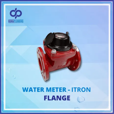 Water Meter Water Meter Itron Flange 2 ~blog/2024/10/1/4