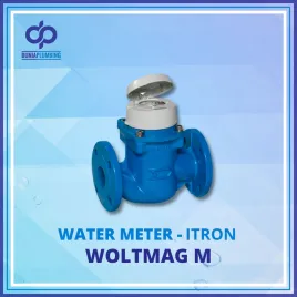 Water Meter Itron Woltmag M