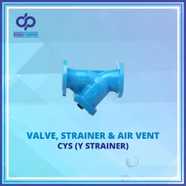 CYS Y Strainer