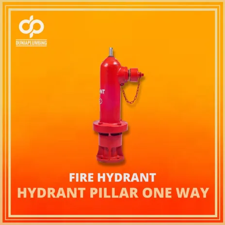 Hydrant Hydrant Pillar One Way 1 ~blog/2024/9/18/14