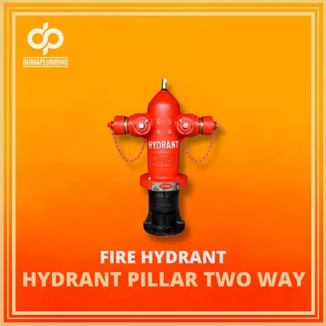 Hydrant Hydrant Pillar Two Way 1 ~blog/2024/9/18/15