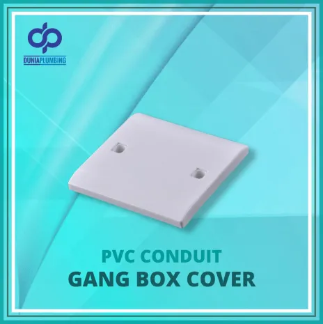 Accessories Gang Box Cover 1 ~blog/2024/9/19/19